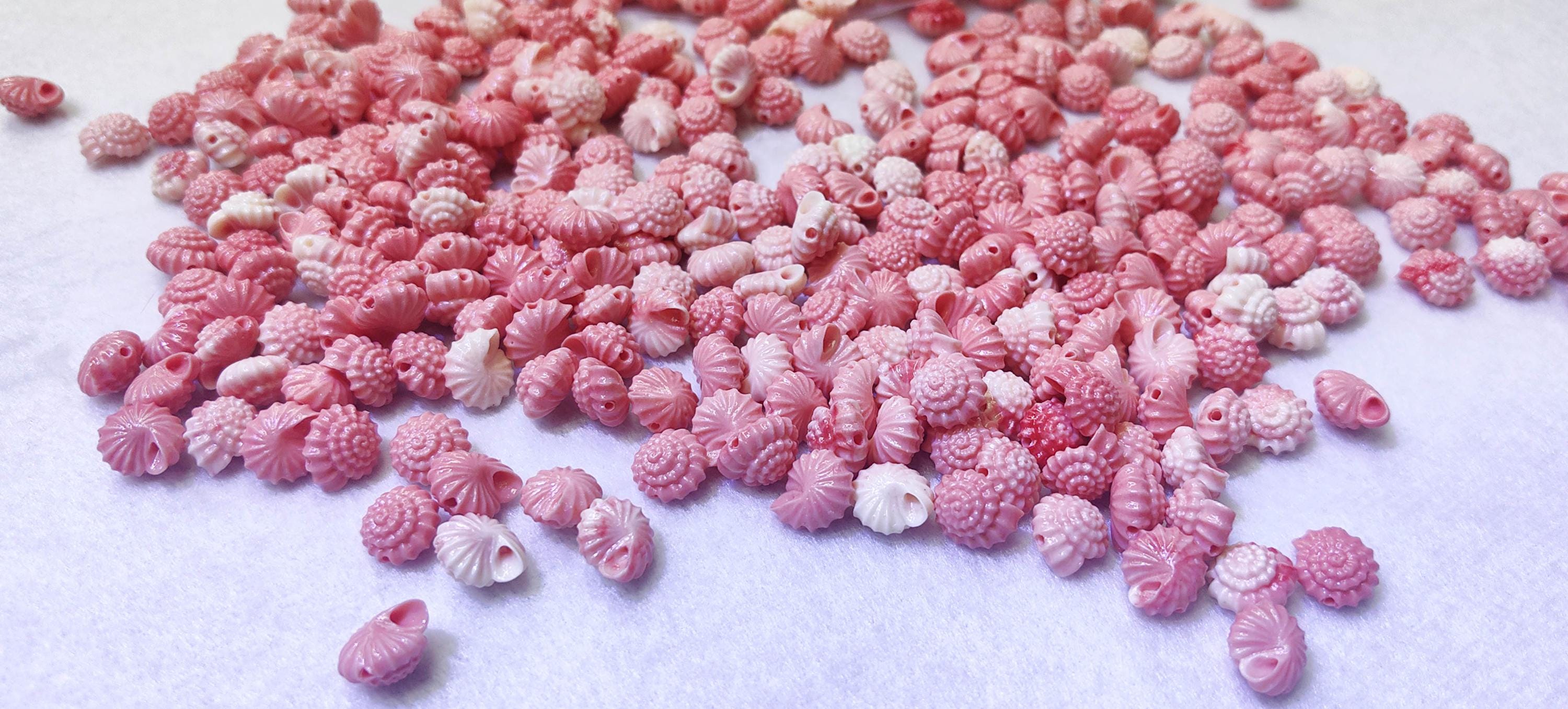 Drilled Pink Queen Conch 13x8mm Carving Sealifescerew Beads for