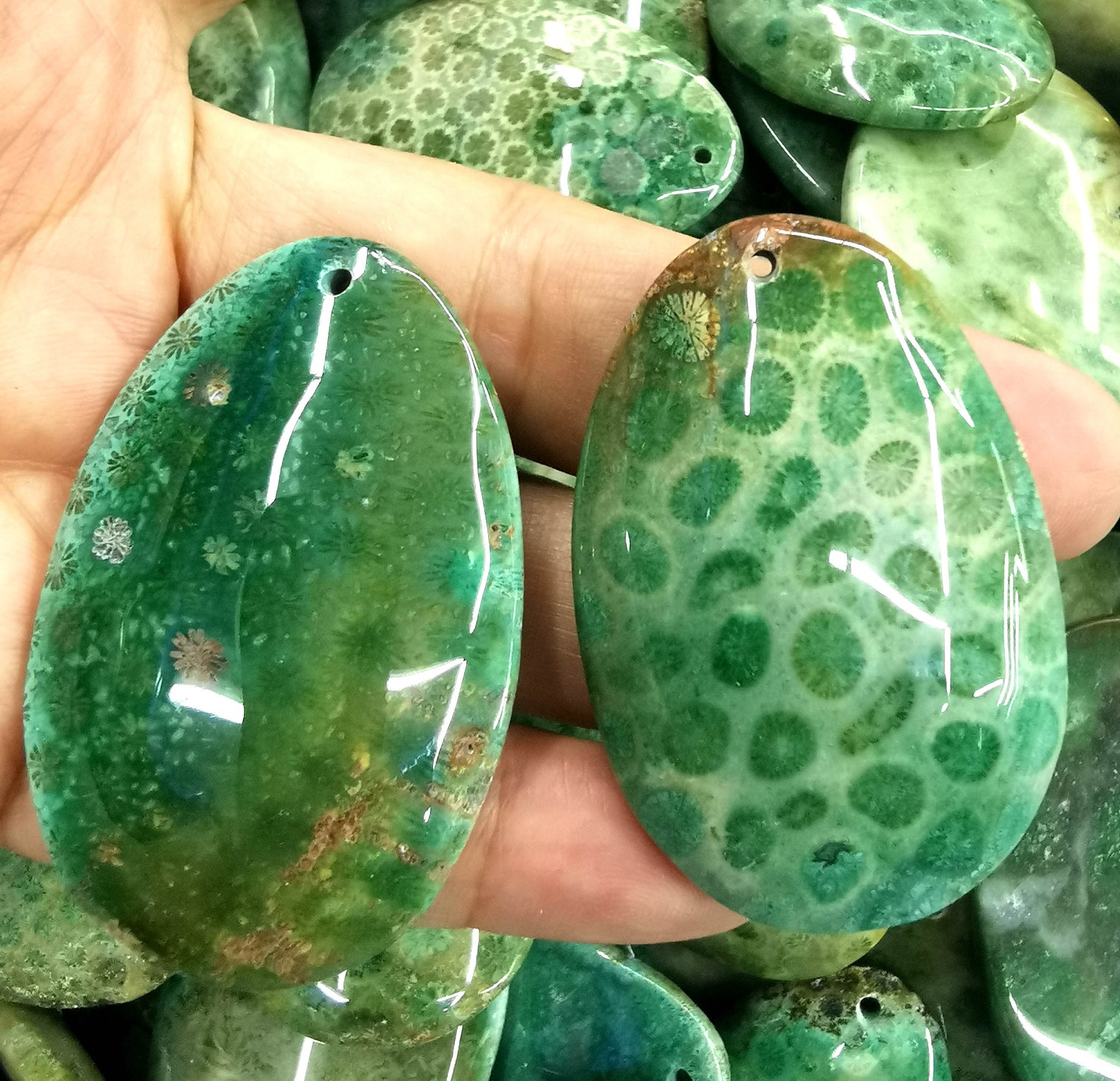 AAA Green Coral Jade Fossil Stone Slab Cabochons Ocean Etsy