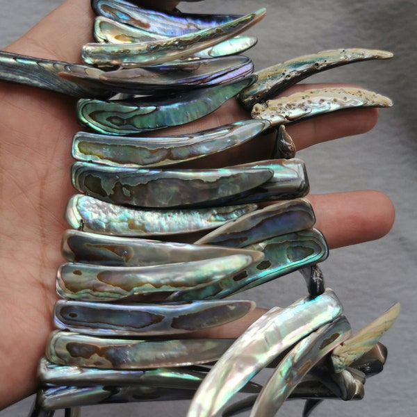 50pcs 50mm(2") Natural Puru shell Perline, Guscio Abalone Arcobaleno, Grigio Nero Shell Horn orecchini ciondolo distanziale perline 16INCH