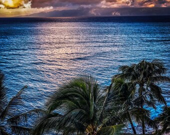 Maui, Hawaii sunset with palm trees digital image