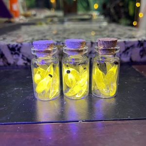 May include: Three small glass bottles with cork stoppers. Each bottle contains yellow, leaf-shaped objects and small black beads. The bottles are arranged in a row on a dark surface, with a blurred background of lights and greenery.