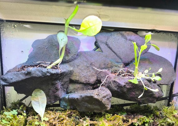 3D打印爬行动物饲养箱背景石躲避石装饰套件