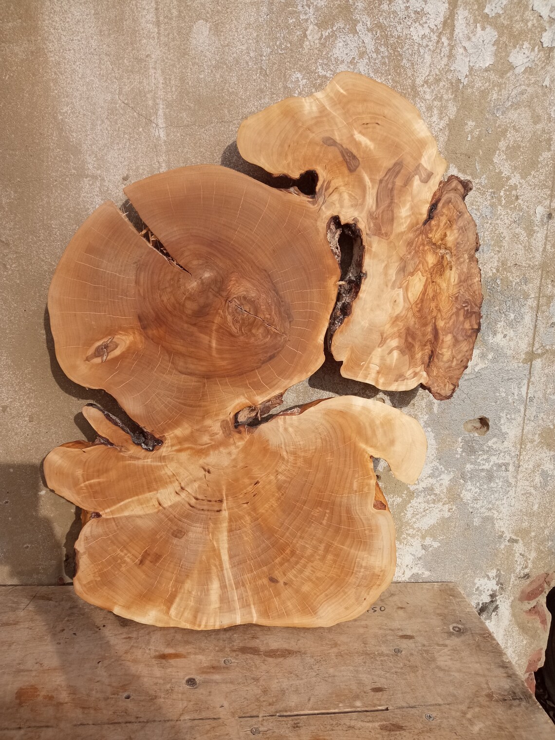 Birch burl woodBig birch slab cap Birch wood birch capa | Etsy