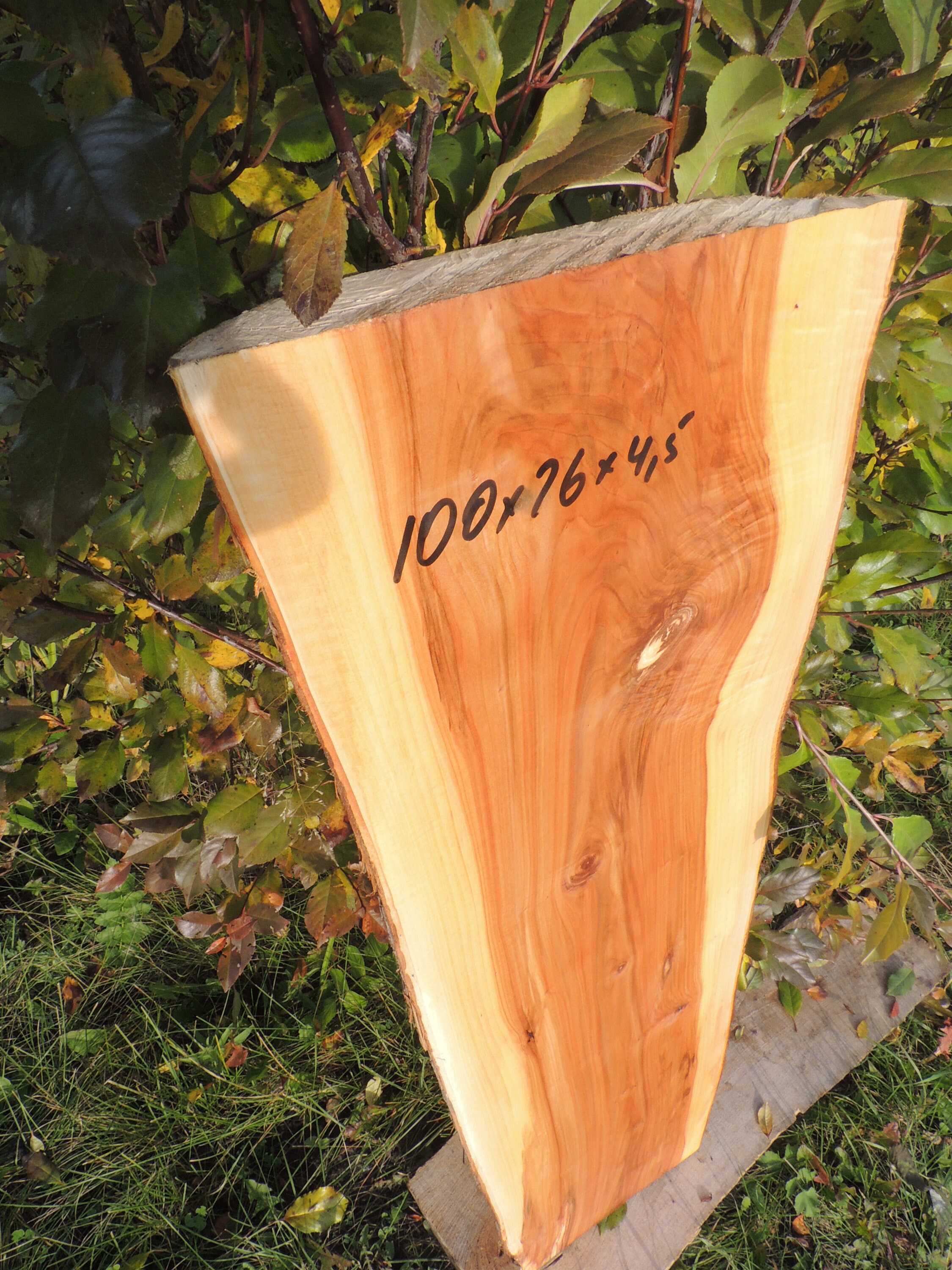 Slab Apple wood Apple slab Wood slab Table slab Etsy