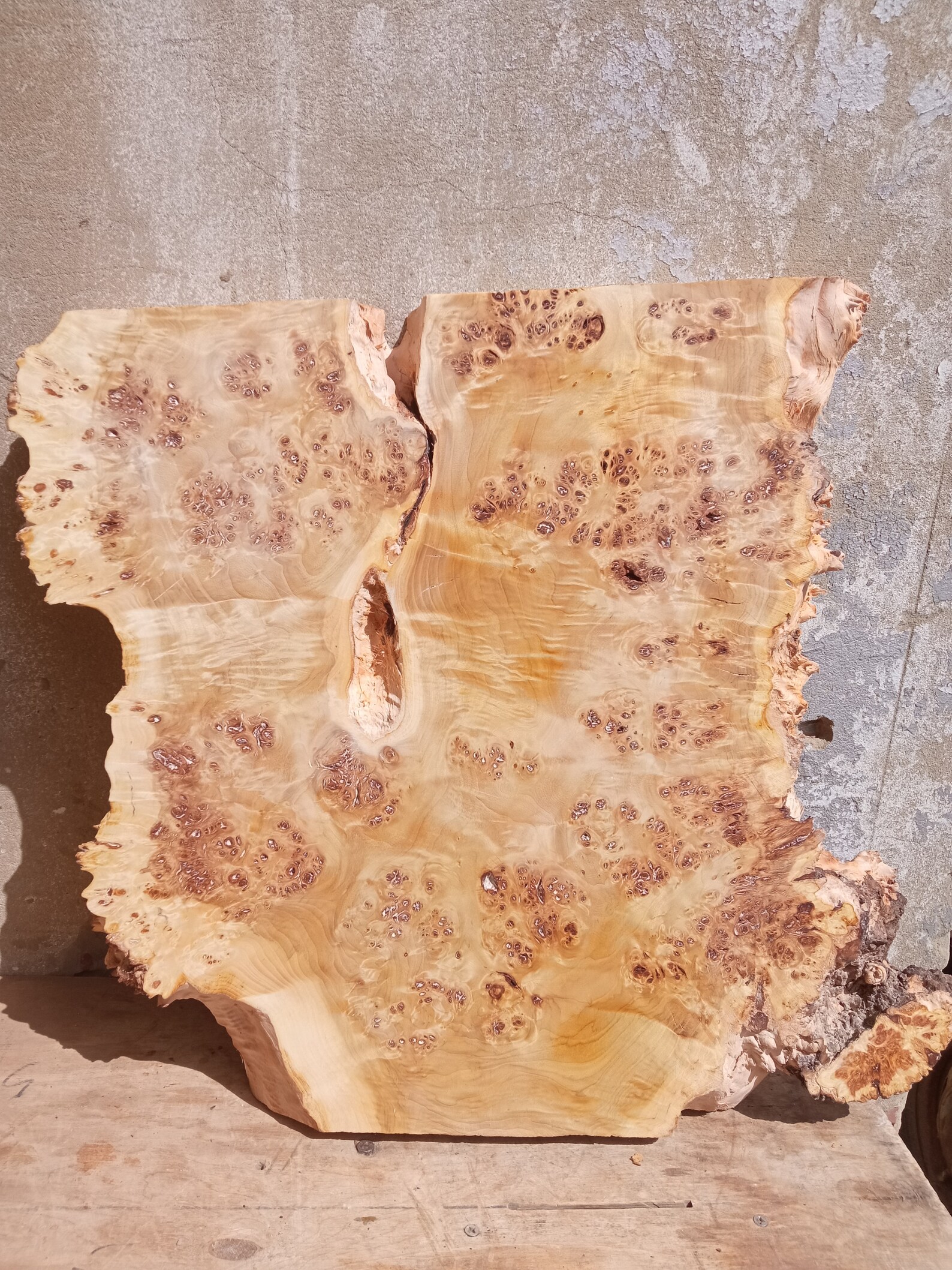 Burl slab mountain poplar mappa burl wood slab 354 Etsy