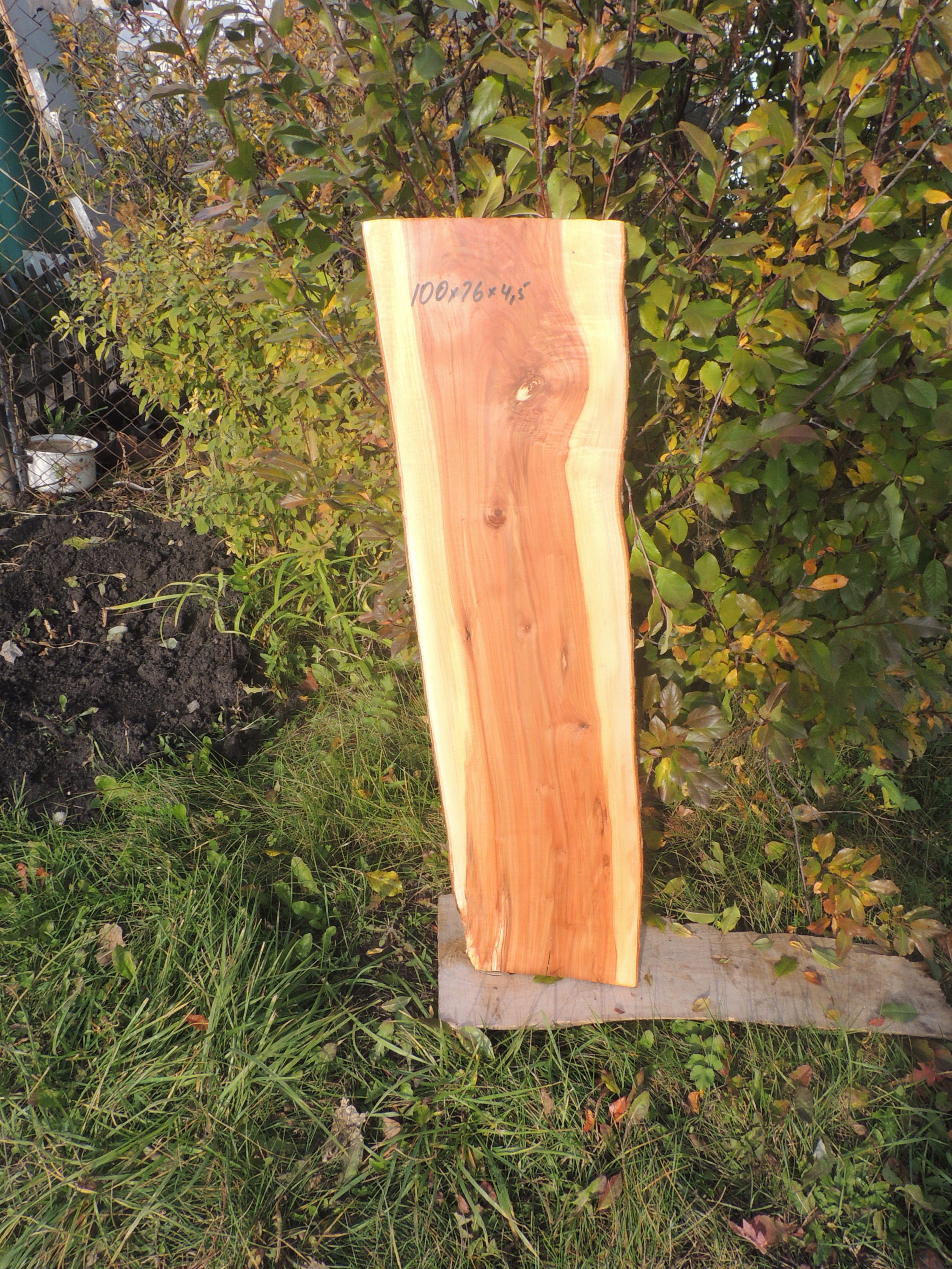 Slab Apple wood Apple slab Wood slab Table slab Etsy