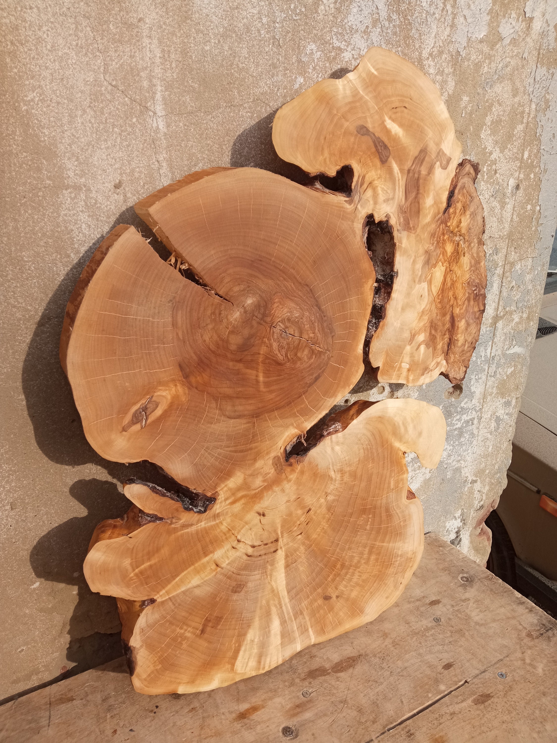 Birch burl woodBig birch slab cap Birch wood birch capa | Etsy