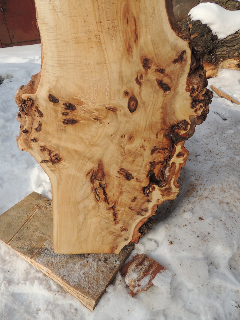 Burl slab mountain poplar mappa burl wood slab 276 | Etsy