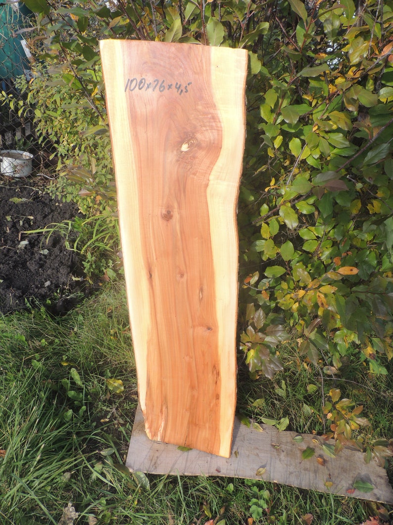 Slab Apple wood Apple slab Wood slab Table slab Etsy