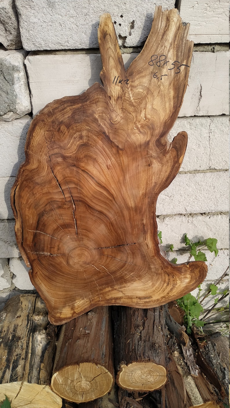 Burl slabelm burl wood slab 314x185x Etsy