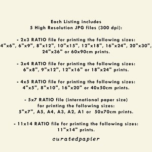 May include: Text on a white background describing the different sizes of digital files included in a listing. The text includes the ratios of the files, such as 2x3, 3x4, 4x5, 5x7, and 11x14. The text also includes the dimensions of the files in inches and centimeters.