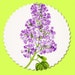 Lilac Agbonifo