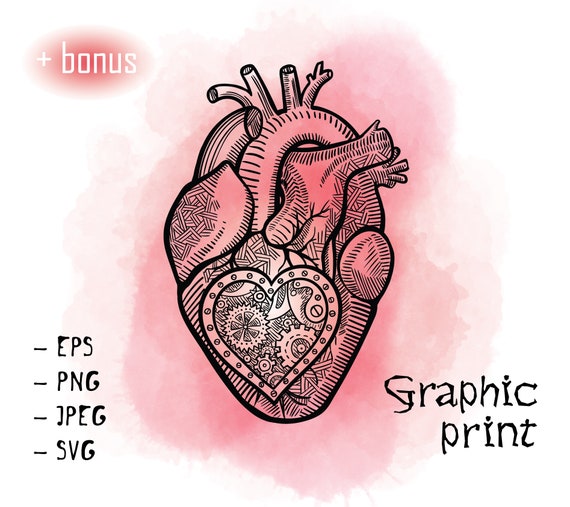 Anatomische Herz Clipart Steampunk Mechanismus Druck Grafik Etsy