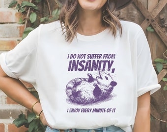 Retro Possum T Shirt, Vintage possum T Shirt, Meme T Shirt, Funny Possum, T Shirt, Trash Panda T tee, Unisex, I do not suffer from insanity