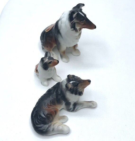 Miniature lassie cheap