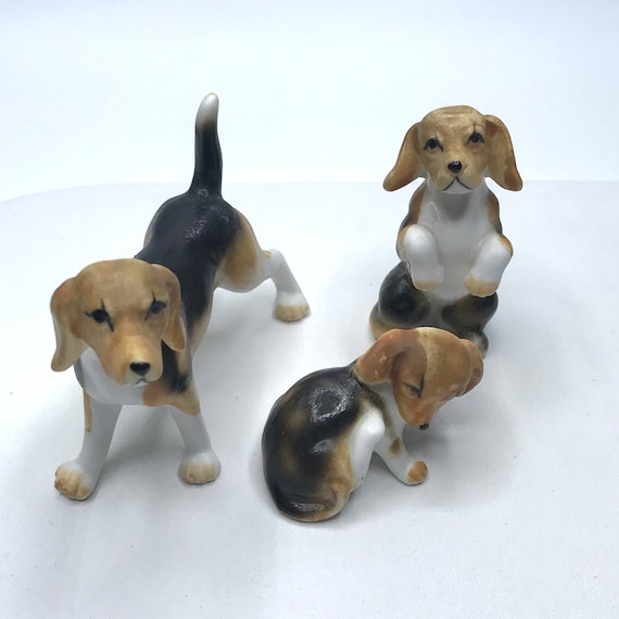 Are Bones Safe For Beagle Harrier Puppies