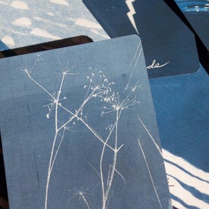 May include: A collection of indigo blue cards with white botanical illustrations. The cards feature a delicate floral design, with a handwritten "de" in the corner. The cards are arranged in a layered composition.