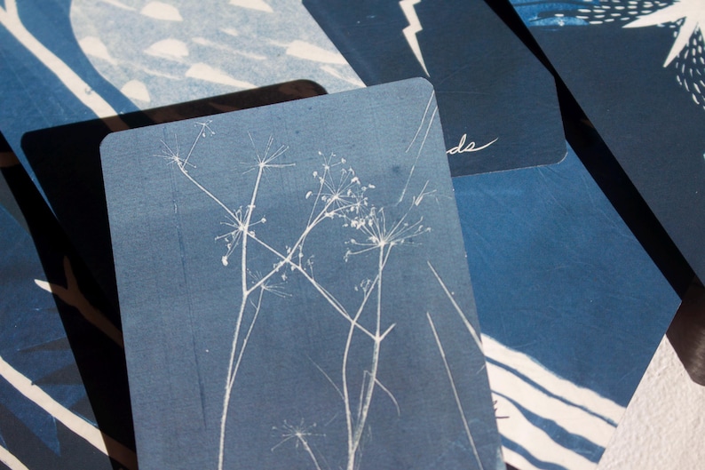 May include: A collection of indigo blue cards with white botanical illustrations. The cards feature a delicate floral design, with a handwritten "de" in the corner. The cards are arranged in a layered composition.