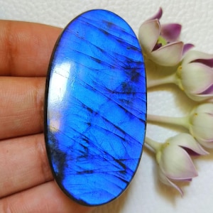 AAA+ Grade Blue Fire Labradorite Oval Shape Loose Gemstone, Size - 50x25x7 Mm. AAA+ Blue Labradorite Best For Pendant Jewelry. 99 CT