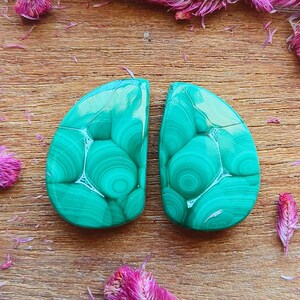 Par de malaquitas de alta calidad con formas elegantes, tamaño del par de piedras preciosas de malaquita: 20 x 13 x 5 mm. Par de malaquitas AAA+ ideal para aretes. 35 ct.