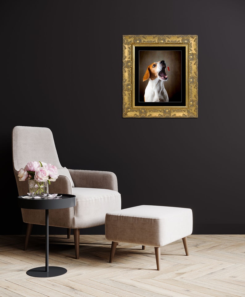 May include: A framed photograph of a beagle dog with its mouth open, looking up at something off-camera. The dog is brown and white and has a red collar. The frame is gold and ornate.