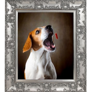 May include: A beagle dog with brown and white fur is looking up with its mouth open, as if catching a treat. The dog is in a silver ornate frame.