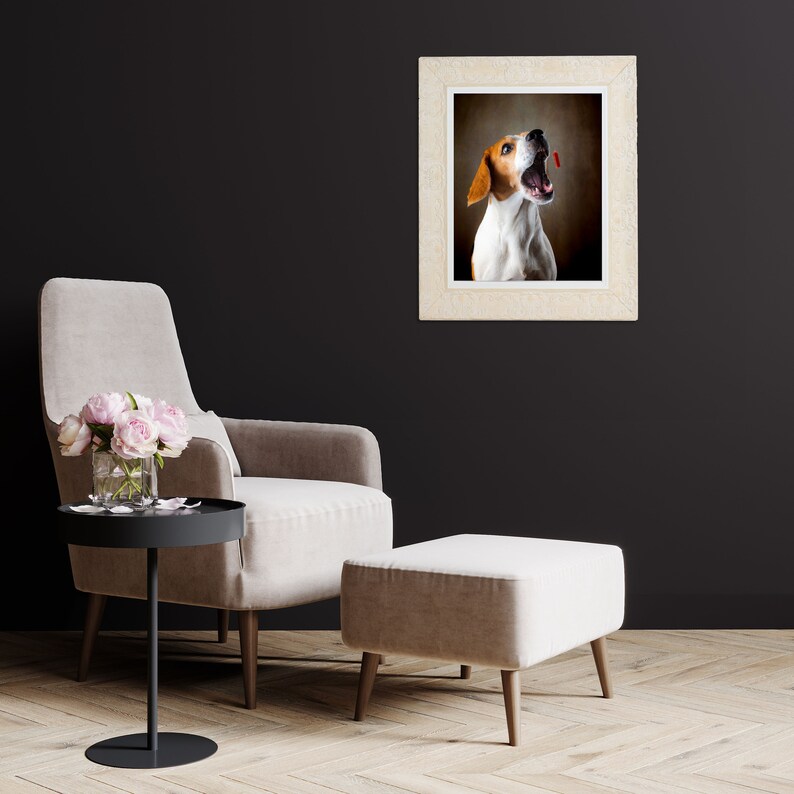 May include: A framed photograph of a brown and white dog with its mouth open, looking up at a red treat. The dog is in a neutral background.