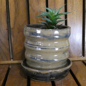 May include: A ceramic planter with a small succulent plant. The beige pot has blue horizontal stripes and a matching saucer. The plant has green, spiky leaves. The pot is sitting on a wooden surface.