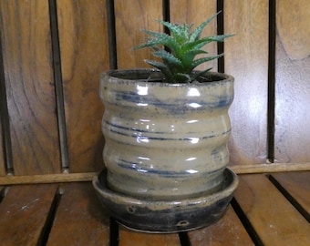 May include: A ceramic planter with a small succulent plant. The beige pot has blue horizontal stripes and a matching saucer. The plant has green, spiky leaves. The pot is sitting on a wooden surface.