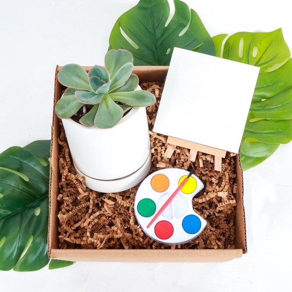 Plant Kit Etsy