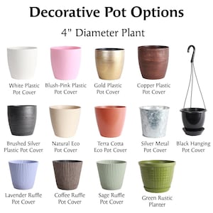 May include: A selection of 10 different decorative pot options for a 4-inch diameter plant. The pots are made of various materials, including plastic, metal, and terracotta. The pots are in a variety of colors, including white, pink, gold, copper, silver, black, lavender, coffee, sage, and green.