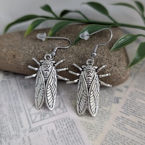 May include: Silver cicada earrings with a detailed design. The earrings are hanging from a silver hook.