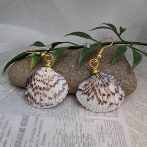 Peut inclure: Une paire de boucles d'oreilles coquillage. Chaque boucle d'oreille présente un coquillage blanc et marron avec du fil et des crochets d'oreille dorés. Les boucles d'oreilles sont présentées sur une pierre grise avec des feuilles vertes en arrière-plan.