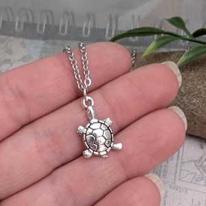 May include: A silver chain necklace with a small silver turtle pendant.
