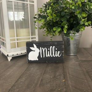 Personalized bunny name sign, pet sign, rabbit name sign, hutch sign, bunny cage, pet bunny decor, 6x3.5 inch, small wood sign, tier