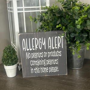 May include: A grey wooden sign with white text stating "ALLERGY ALERT" and a peanut warning. The sign is displayed with a white lantern, a small potted plant, and a larger green plant in a metal bucket.