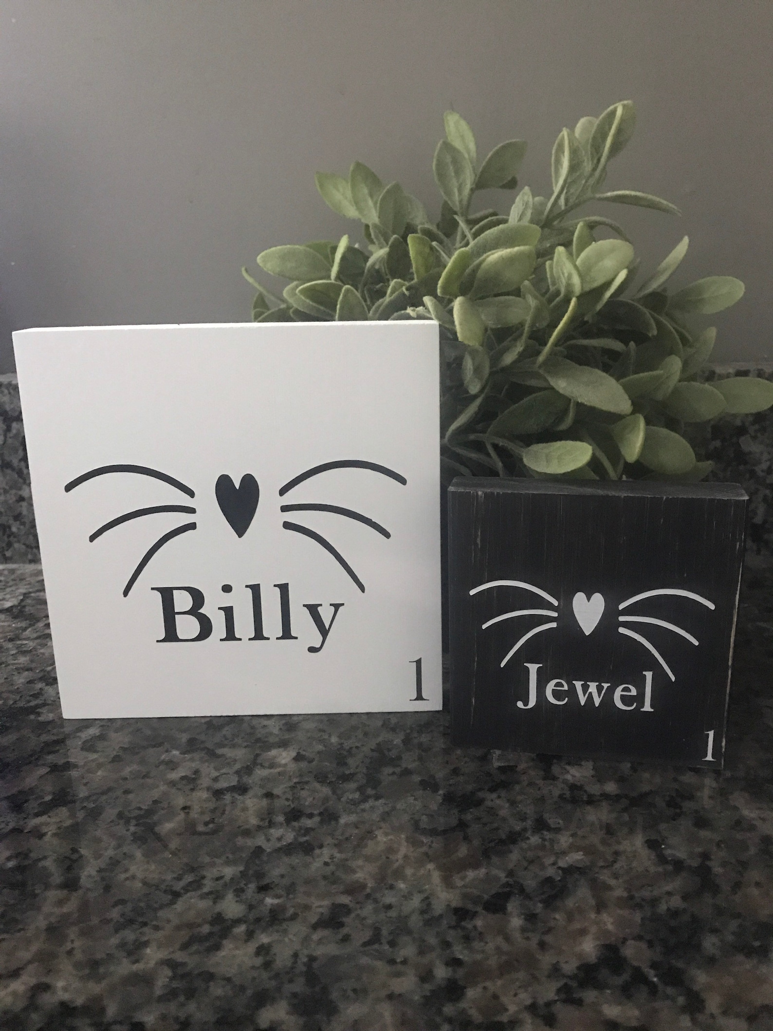 Personalized Cat Sign Cat Name Cat Sign Cat Wall Decor Cat Etsy