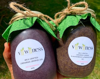 Irish Sea Moss Gel 16oz – Pure Chondrus Crispus or 102 Mineral Blend • Wildcrafted • Made Fresh-Detox Superfood