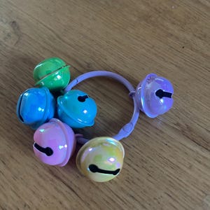May include: A cluster of six colorful bells in shades of green, blue, pink, and yellow, attached to a purple ring. Each bell has a black slit. The bells are shiny and reflective.