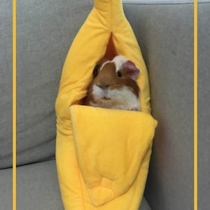 SONDEREDITION* Boris der Bananaloaf Guinea Pig Postkarte