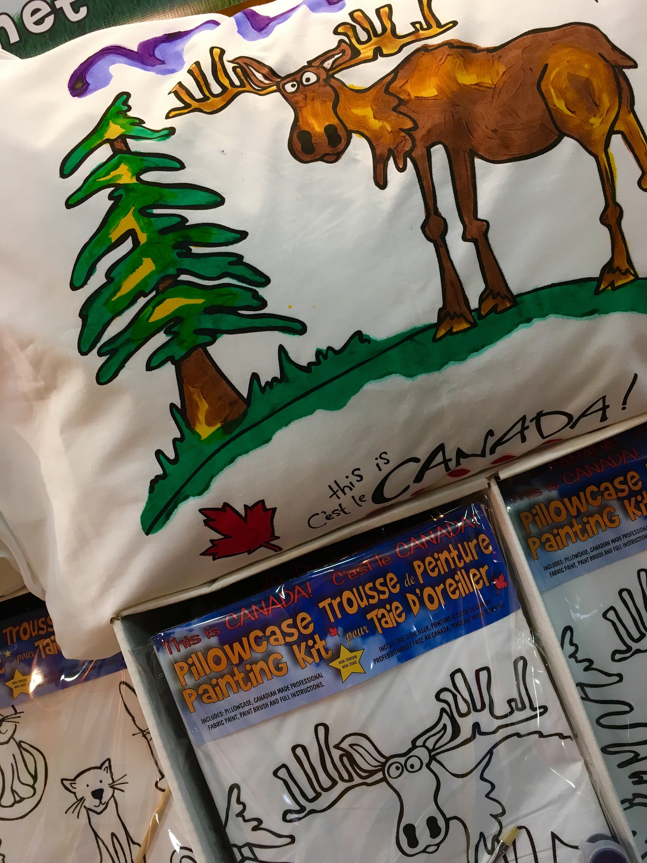 This is Canada Series... Pillowcase Painting Kit for Kids Available in