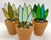 Stained Glass Plant, Aloe in a Variety of Green Glasses Planted in a Terracotta Pot, Plant Lovers Gift, Southwestern Decor