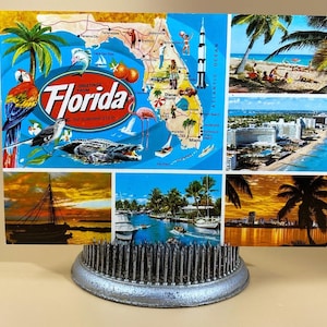 Jahrgang Florida Souvenir Postkarte Junk Journal Ephemera