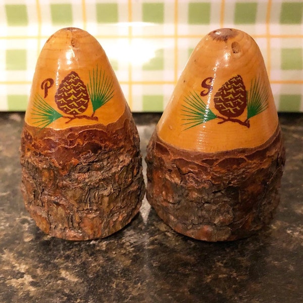 Rare hand painted salt and pepper shakers made out of bark