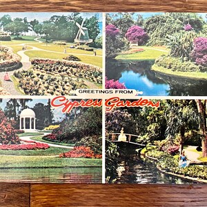 Vintage Grüße aus Zypressen Gärten Souvenir Postkarte Florida Blumen