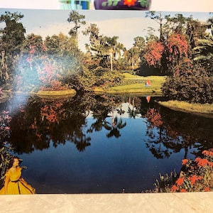 Vintage Souvenir Postkarte Zypress Endes Gärten Florida Junk Journal Ephemera