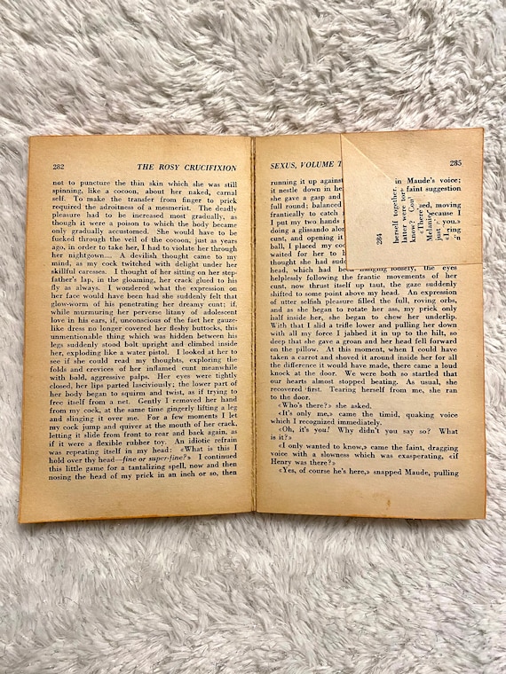 Vintage Book the Rosy Crucifixion Sexus Book One and Two in One
