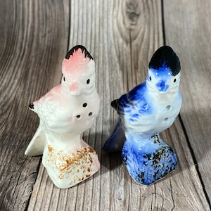 Vintage Bird Salt and Pepper Shakers Jay Blue Pink