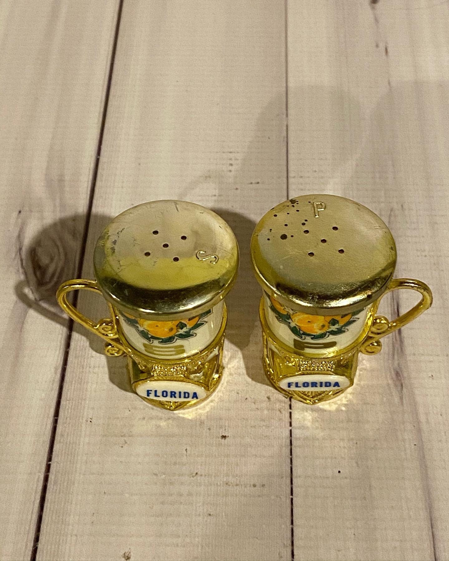 Vintage Souvenir Florida Plastic Salt and Pepper Shakers Etsy