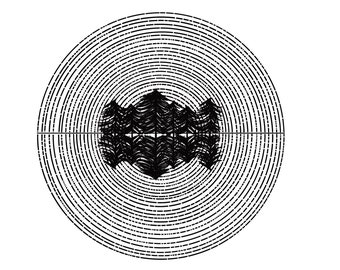 Tree Reflections (B&W Line Art)